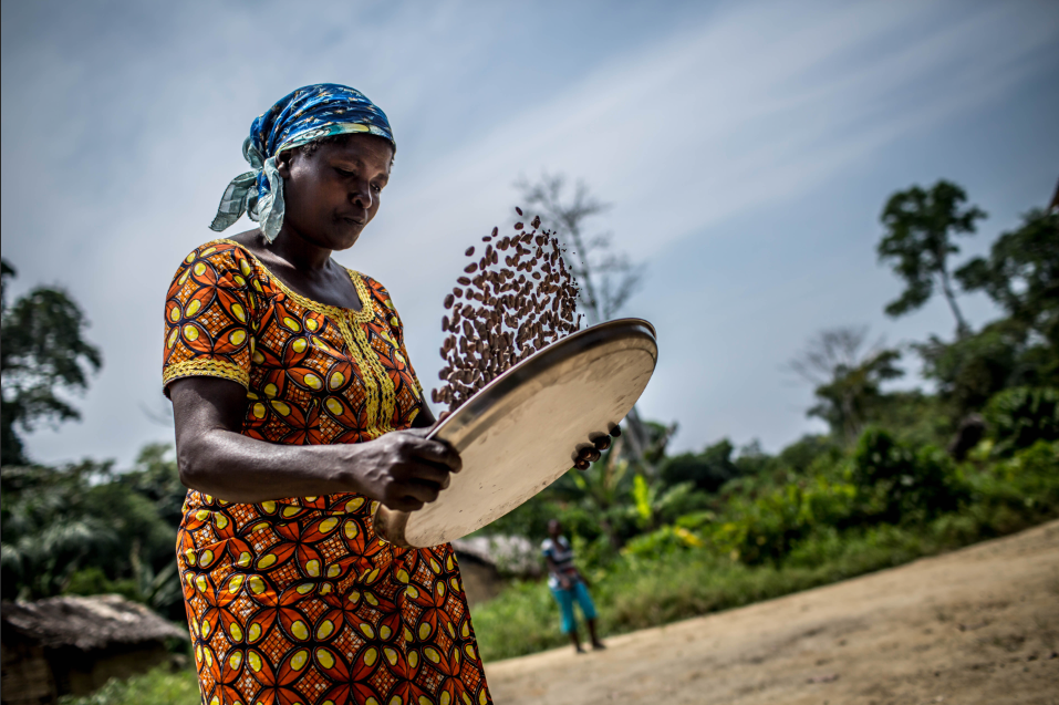Tabletas de chocolate de especialidad. Tabletas de chocolate. Chocolate gourmet. Chocolate reposteria. Chocolate recolectado por cooperativa de mujeres en la región de Virunga, Congo. Paquete de 13 tabletas de 70g cada una.