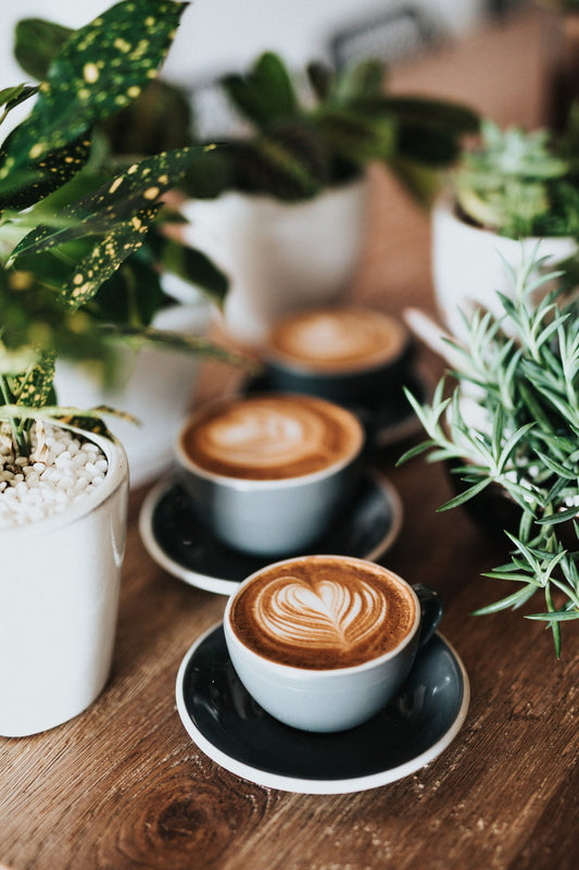 Café de especialidad. Origen: Etiopia. Paquete de 250 gr. Specialty coffee beans from Ethiopia.