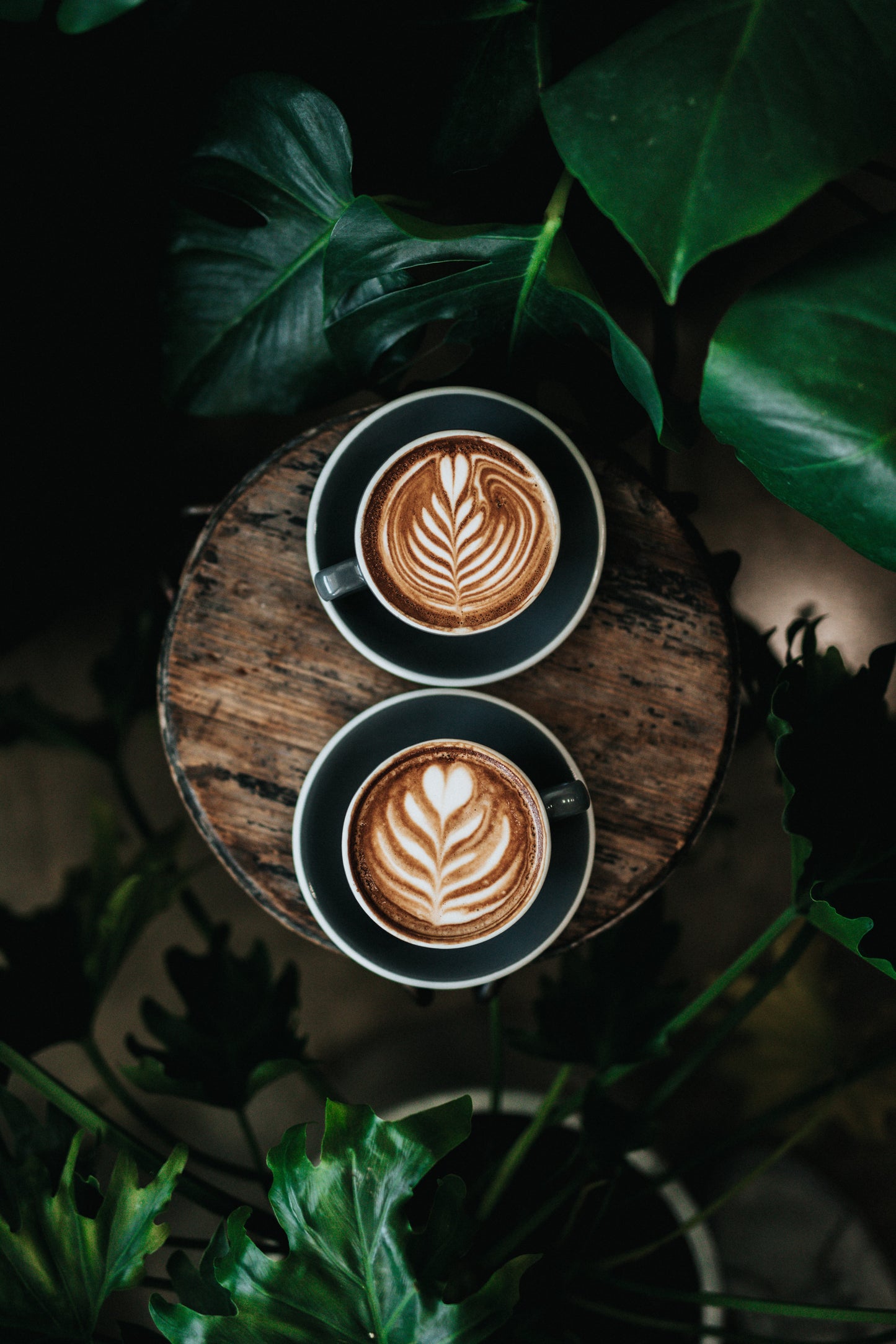 Café de especialidad. Origen: Honduras. Paquete de 250 gr. Specialty coffee beans from Honduras.