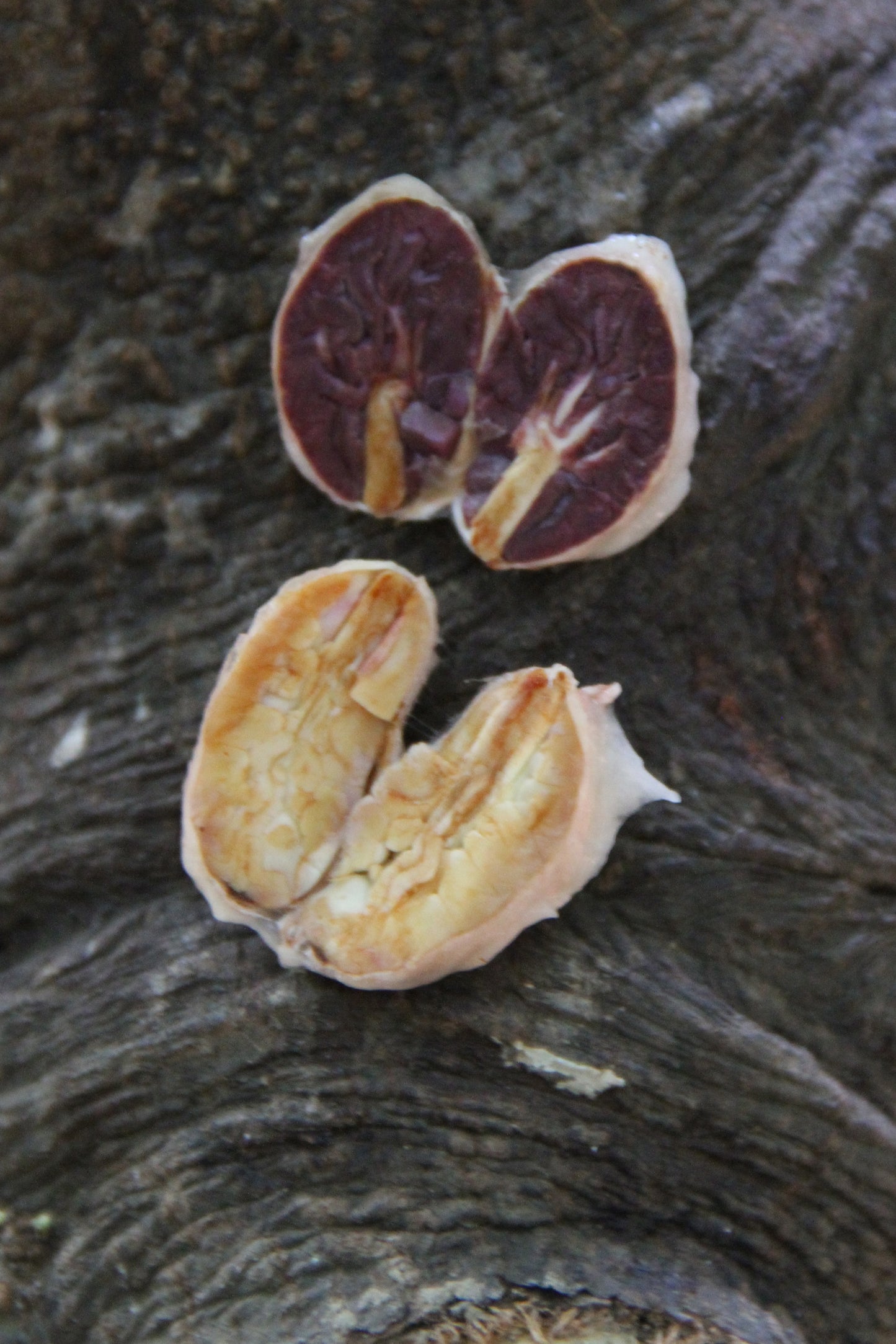 Tabletas de chocolate de especialidad. Tabletas de chocolate. Chocolate gourmet. Chocolate reposteria. Chocolate recolectado  en Perú. Paquete de 13 tabletas de 70g cada una. Specialty chocolate bars from Peru.