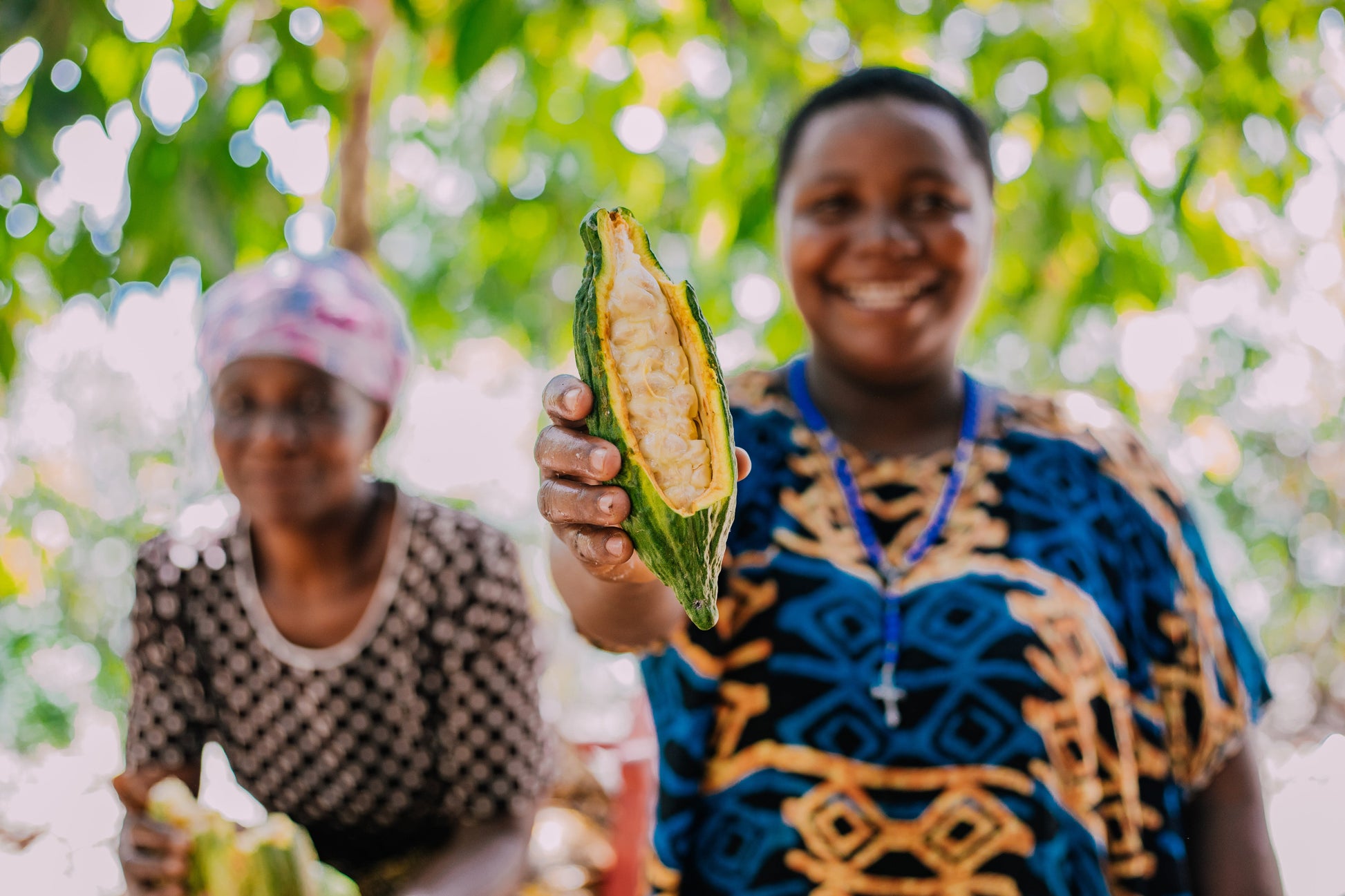 Mueres portando cacao con el que se hacen las Perlas de chocolate de especialidad. Coberturas de chocolate. Chocolate gourmet. Chocolate reposteria. Chocolate recolectado en la región de Udzungwa, Tanzania . Paquete de 2 Kg. Specialty chocolate covertures from Tanzania.