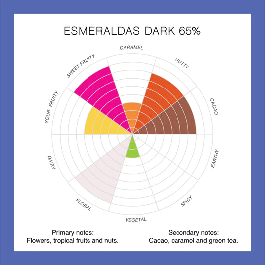 Rueda con las notas de cata de las Perlas de chocolate de especialidad. Coberturas de chocolate. Chocolate gourmet. Chocolate reposteria. Chocolate recolectado en la region de costa esmeraldas en Ecuador . Paquete de 2 Kg. Specialty chocolate covertures from Ecuador.