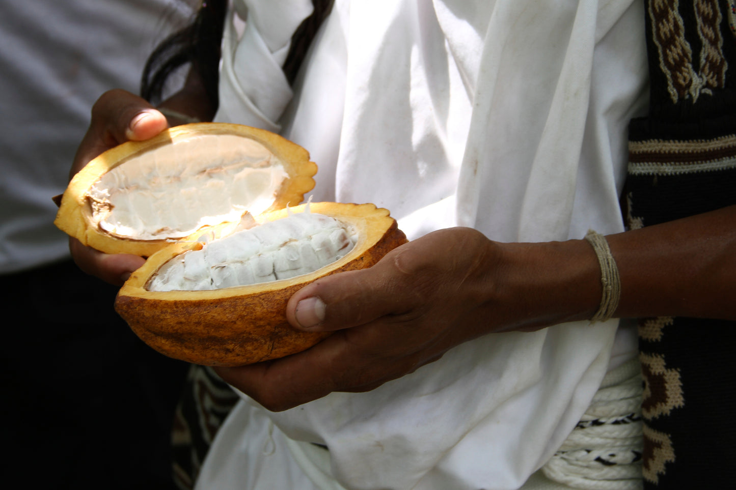 Tabletas de chocolate de especialidad. Tabletas  de chocolate. Chocolate gourmet. Chocolate reposteria. Chocolate recolectado por la tribu Arhuaco en Colombia. Paquete de 13 tabletas de 70g cada una. Specialty chocolate bars from Ecuador.