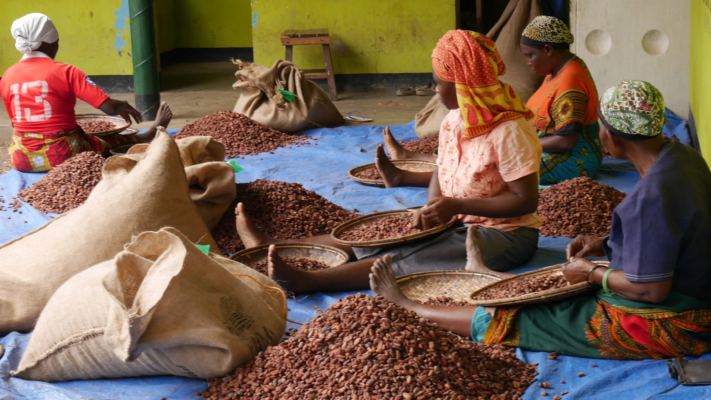 Perlas de chocolate de especialidad. Coberturas de chocolate. Chocolate gourmet. Chocolate reposteria. Chocolate recolectado en la región de Udzungwa, Tanzania . Paquete de 2 Kg. Specialty chocolate covertures from Tanzania.