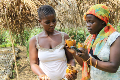 Perlas de chocolate de especialidad. Coberturas de chocolate. Chocolate gourmet. Chocolate reposteria. Chocolate recolectado por coperativa de mujeres en la region del parque nacional de Virunga en Congo . Paquete de 2 Kg. Specialty chocolate covertures from Congo.
